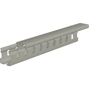 Weidmüller 2588450000 káblový kanál  (d x š x v) 2 m x 25 mm x 30 mm 40 ks sivá