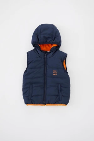 DEFACTO Baby Boy Hooded Puffer Vest