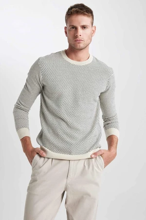 DEFACTO Standard Fit Regular Cut Crew Neck Patterned Knitwear Sweater