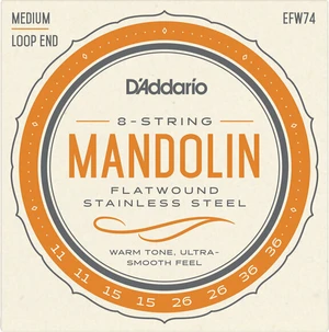 D'Addario EFW74 Mandoline Saiten