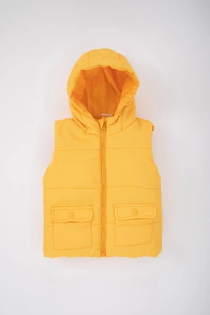 DEFACTO Baby Boy Hooded Vest