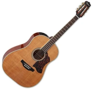 Takamine CRN-TS1 Natural Dreadnought Elektro-Akustikgitarren