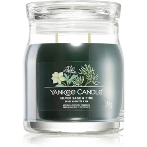 Yankee Candle Silver Sage & Pine vonná svíčka Signature 368 g