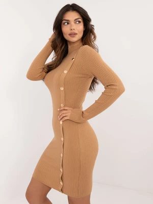 Brown fitted knitted turtleneck dress