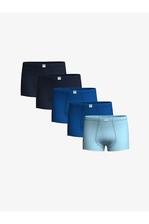 LC Waikiki LCW Kids Navy Blue Basic Boy Boxer 5-Pack