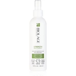 Biolage Strength Recovery posilující bezoplachová péče pro poškozené vlasy 232 ml