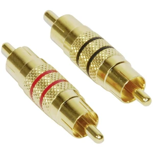 Paccs  audio adaptér [1x cinch zástrčka - 1x cinch zástrčka]  zlatá