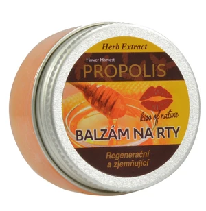 VIVACO Balzam na pery PROPOLIS