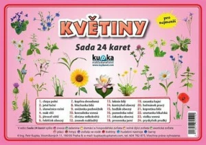 Sada 24 karet Květiny - Petr Kupka