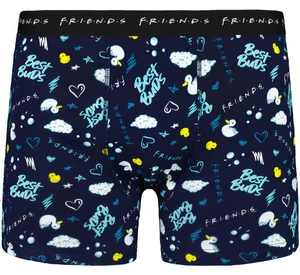 Men's boxer FRIENDS - Frogies