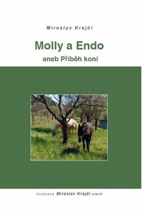 Molly a Endo - Miroslav Krejčí - e-kniha