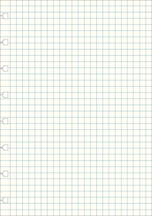 Filofax - Notebook, náplň A5, papíry čtverečkované