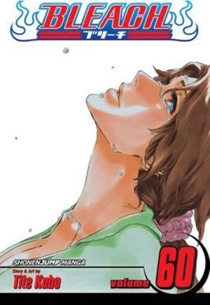 Bleach 60 (anglicky) - Tite Kubo