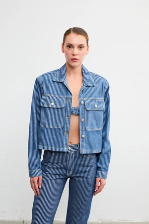 VATKALI Striped denim cropped jacket