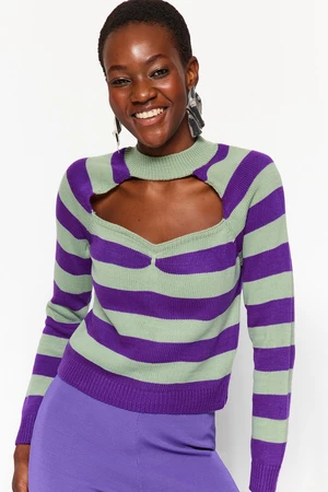 Trendyol Plum Window/Cut Out Knitwear Sweater