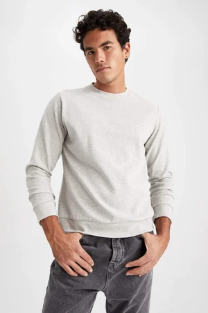 DEFACTO Regular Fit Sweatshirt