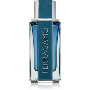 Ferragamo Ferragamo Intense Leather parfumovaná voda pre mužov 100 ml