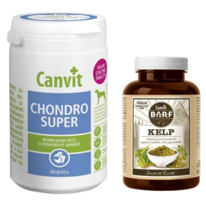 CANVIT Chondro Super 230 g + CANVIT BARF Kelp pro psy 60 g ZDARMA