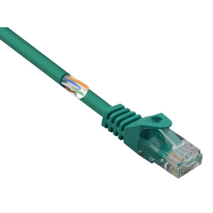 Basetech BT-1717501 RJ45 sieťové káble, prepojovacie káble CAT 5e U/UTP 15.00 m zelená s ochranou 1 ks