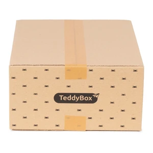 Súprava 3 béžových úložných boxov Compactor Teddy, 35 x 15 cm