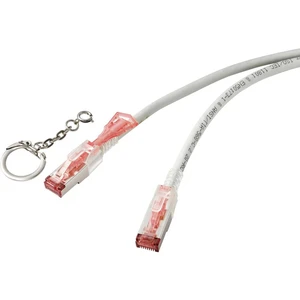 Renkforce RF-4533114 RJ45 sieťové káble, prepojovacie káble CAT 6A S/FTP 1.00 m sivá zablokovateľný 1 ks