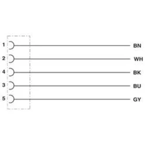 Vestavný zástrčkový konektor pro senzory - aktory Phoenix Contact SACC-E-M12FS-5CON-PG9/0,5 VA 1699863 0.50 m, 1 ks