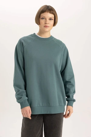 DEFACTO Oversize Fit Sweatshirt