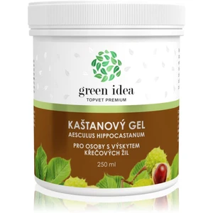 Green Idea Gaštanový gél masážny gél na žily a cievy 250 ml