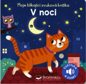 Moje blikající zvuková knížka V noci - Maria Höck, Kasia Dudziuková