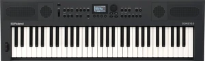 Roland GO:KEYS 5 Keyboard s dynamikou Graphite