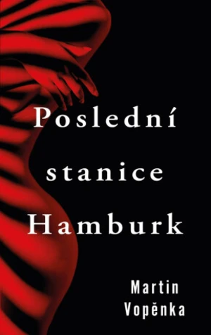 Poslední stanice Hamburk (Defekt) - Martin Vopěnka