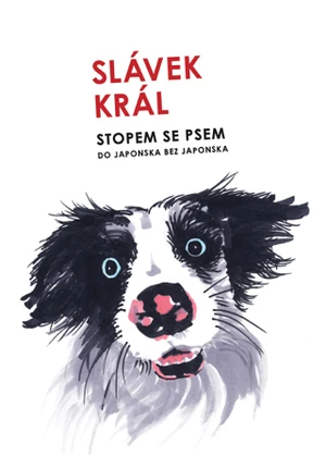 Stopem se psem - Slávek Král - e-kniha