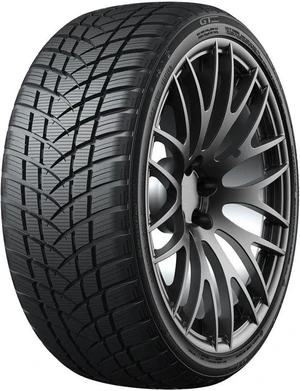 GT RADIAL 225/55 R 17 101V WINTER_PRO_2_SPORT TL XL M+S 3PMSF