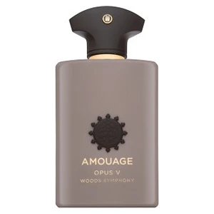 Amouage Opus V Woods Symphony parfémovaná voda unisex 100 ml