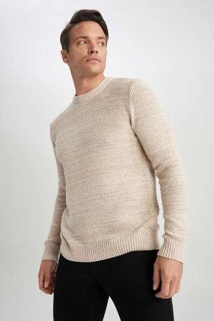 DEFACTO Standard Fit Crew Neck Sweater