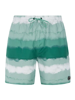 Men's beach shorts Protest PRTHAMSEY