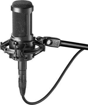 Audio-Technica AT 2050 Microfon cu condensator pentru studio