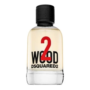 Dsquared2 2 Wood toaletná voda unisex 100 ml