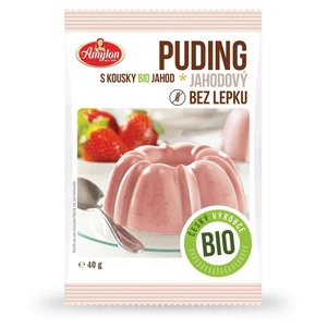 AMYLON Puding  jahodový 40 g BIO