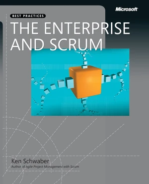 Enterprise and Scrum, The