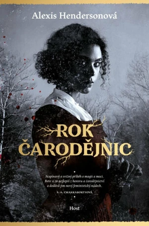 Rok čarodějnic - Hendersonová Alexis