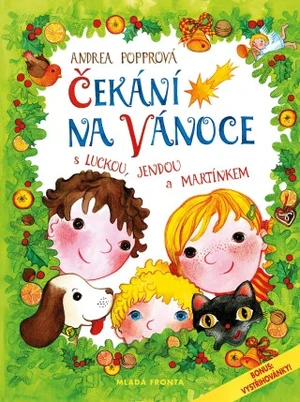 Čekání na Vánoce - Andrea Popprová - e-kniha