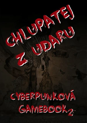 Chlupatej z Udaru - Martin Koláček - e-kniha