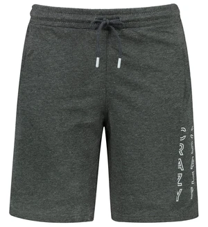 Men's shorts Aliatic