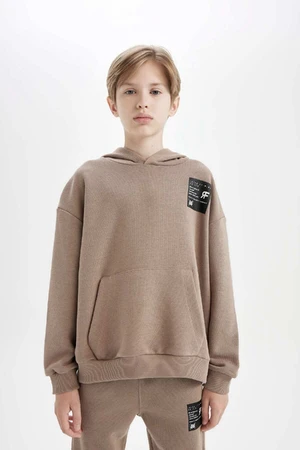 DEFACTO Boy Oversize Wide Pattern Hooded Pocket Thick School Sweatshirt