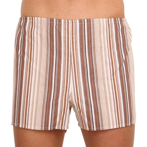 Classic men's shorts Foltýn brown with stripes oversize