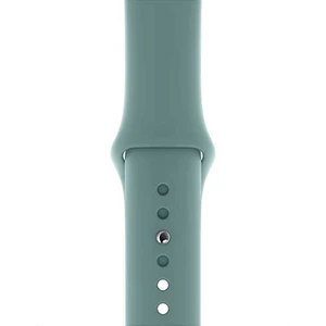 Apple Watch 40mm Cactus Sport Band - Regular