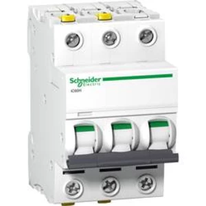 Elektrický jistič Schneider Electric A9F06325, 25 A, 400 V