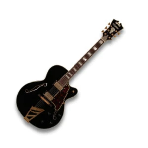 D'angelico Ex-dh Blk