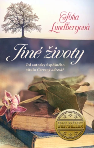 Jiné životy - Sofia Lundberg - e-kniha